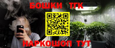 индика Жуковский