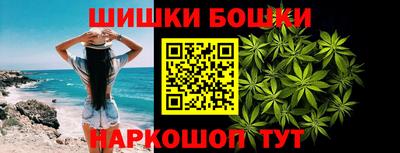 индика Жуковский