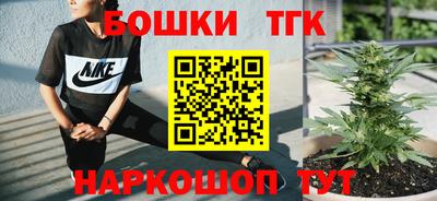 индика Жуковский