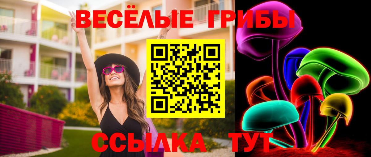 Псилоцибиновые грибы Psilocybe  Галлюциногенные грибы GOLDEN TEACHER  Усть-Кут  Вход с VPN 