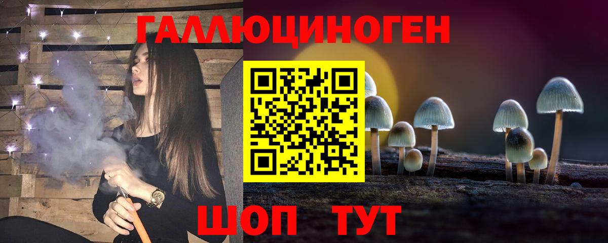 Псилоцибиновые грибы Psilocybine cubensis Усть-Кут